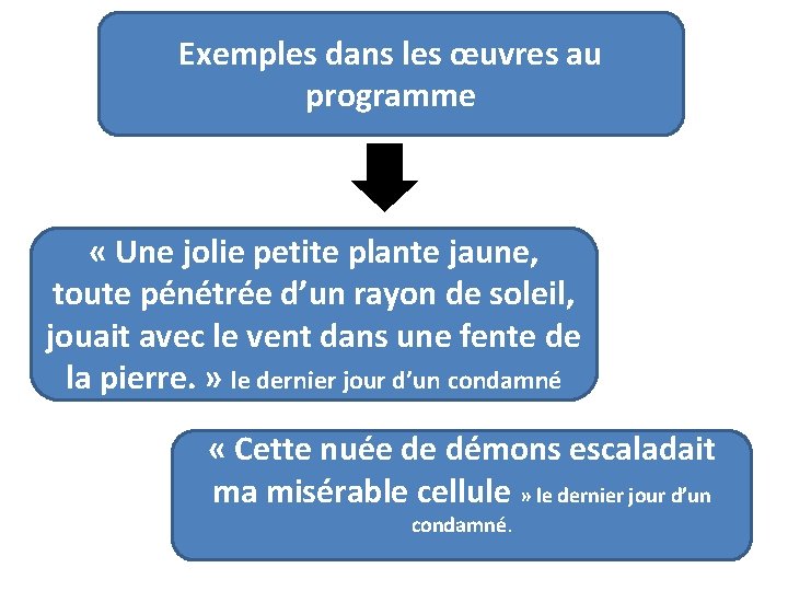 Exemples dans les œuvres au programme « Une jolie petite plante jaune, toute pénétrée