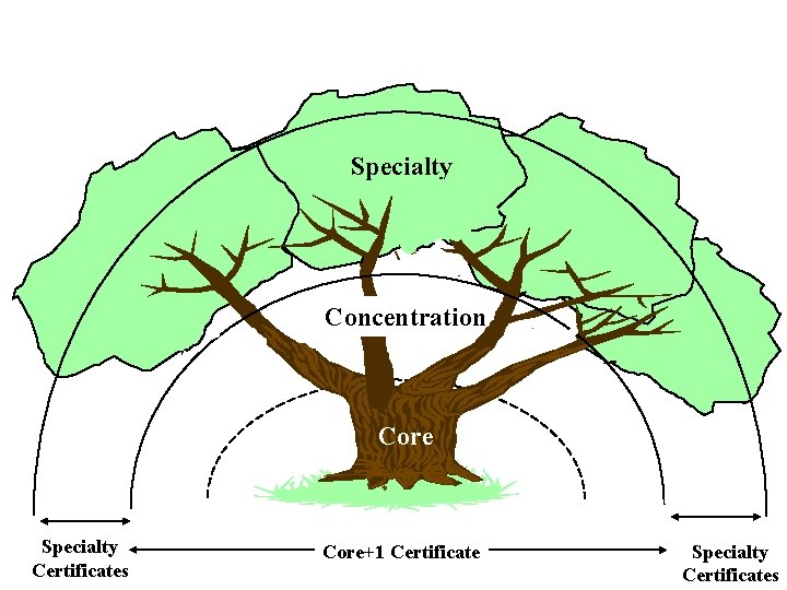 Specialty Concentration Core Specialty Certificates Core+1 Certificate Specialty Certificates 