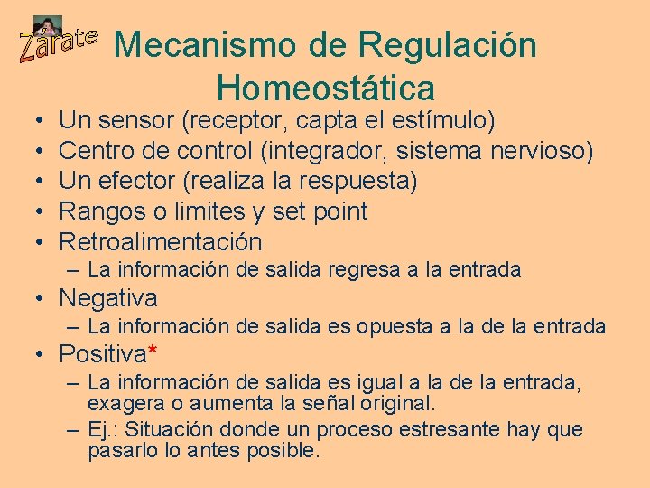  • • • Mecanismo de Regulación Homeostática Un sensor (receptor, capta el estímulo)