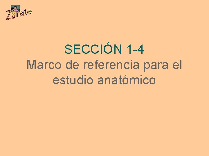 SECCIÓN 1 -4 Marco de referencia para el estudio anatómico 