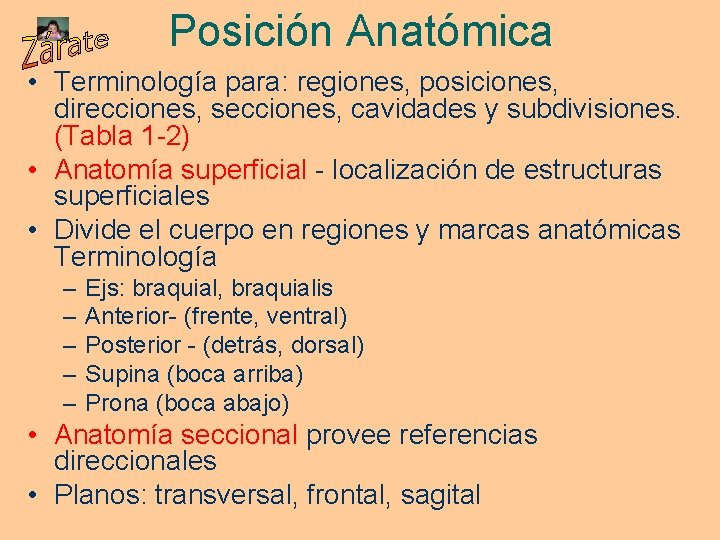Posición Anatómica • Terminología para: regiones, posiciones, direcciones, secciones, cavidades y subdivisiones. (Tabla 1