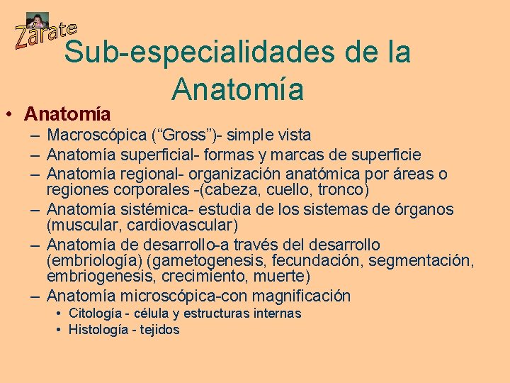 Sub-especialidades de la Anatomía • Anatomía – Macroscópica (“Gross”)- simple vista – Anatomía superficial-