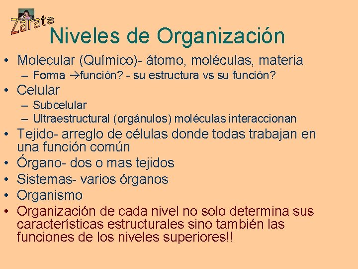 Niveles de Organización • Molecular (Químico)- átomo, moléculas, materia – Forma función? - su