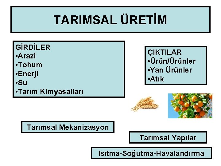 TARIMSAL ÜRETİM GİRDİLER • Arazi • Tohum • Enerji • Su • Tarım Kimyasalları