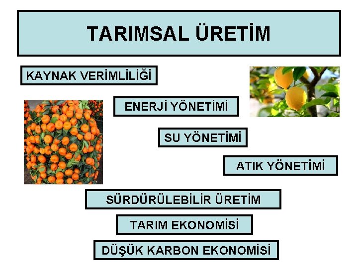 TARIMSAL ÜRETİM KAYNAK VERİMLİLİĞİ ENERJİ YÖNETİMİ SU YÖNETİMİ ATIK YÖNETİMİ SÜRDÜRÜLEBİLİR ÜRETİM TARIM EKONOMİSİ