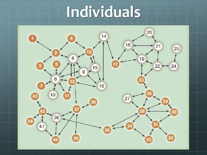 Network Intervention By Thomas W Valente Yilin sun