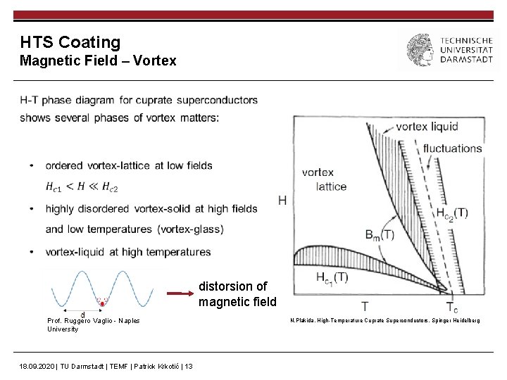 HTS Coating Magnetic Field – Vortex distorsion of magnetic field Prof. Ruggero Vaglio -