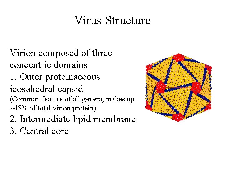 Virus Structure Virion composed of three concentric domains 1. Outer proteinaceous icosahedral capsid (Common