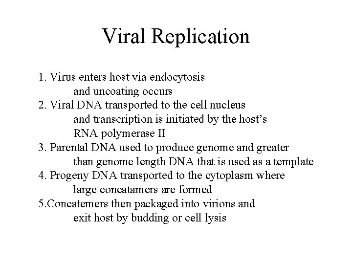 Viral Replication 1. Virus enters host via endocytosis and uncoating occurs 2. Viral DNA