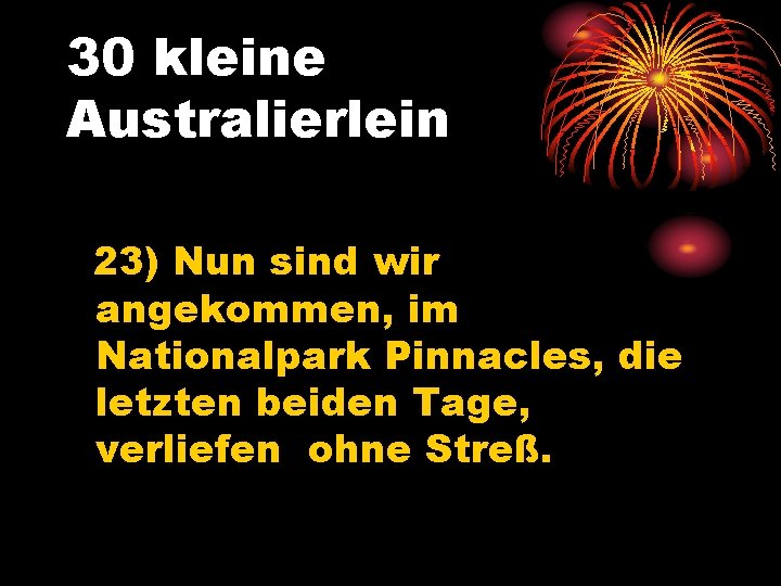 30 kleine Australierlein 23) Nun sind wir angekommen, im Nationalpark Pinnacles, die letzten beiden