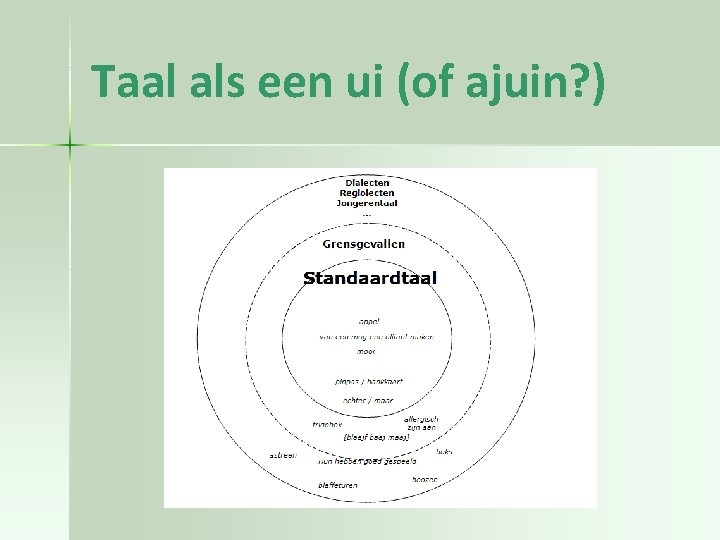 Taal als een ui (of ajuin? ) 