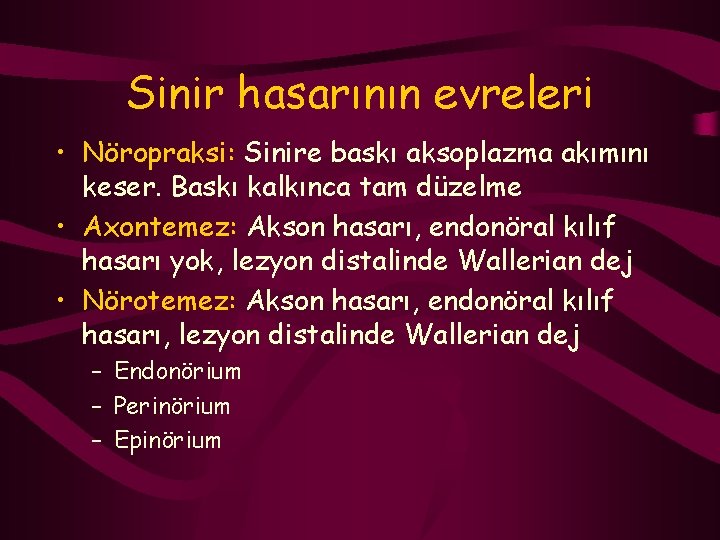 Sinir hasarının evreleri • Nöropraksi: Sinire baskı aksoplazma akımını keser. Baskı kalkınca tam düzelme