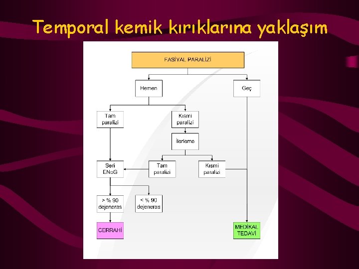 Temporal kemik kırıklarına yaklaşım 