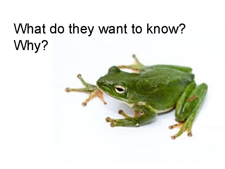What do they want to know? Why? What do they want to know? Why?