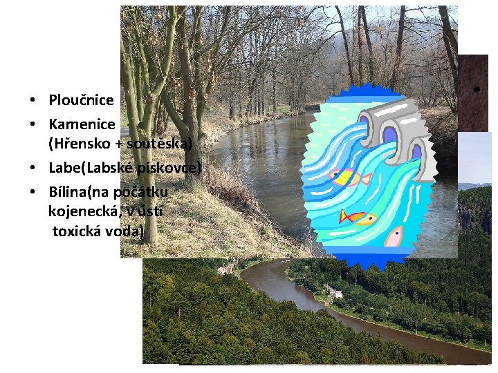 Řeky • Ploučnice • Kamenice (Hřensko + soutěska) • Labe(Labské pískovce) • Bílina(na počátku