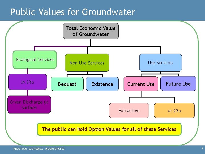 Public Values for Groundwater Total Economic Value of Groundwater Ecological Services In Situ Use
