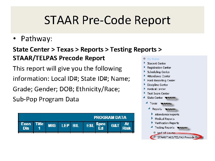 STAAR Pre-Code Report • Pathway: State Center > Texas > Reports > Testing Reports