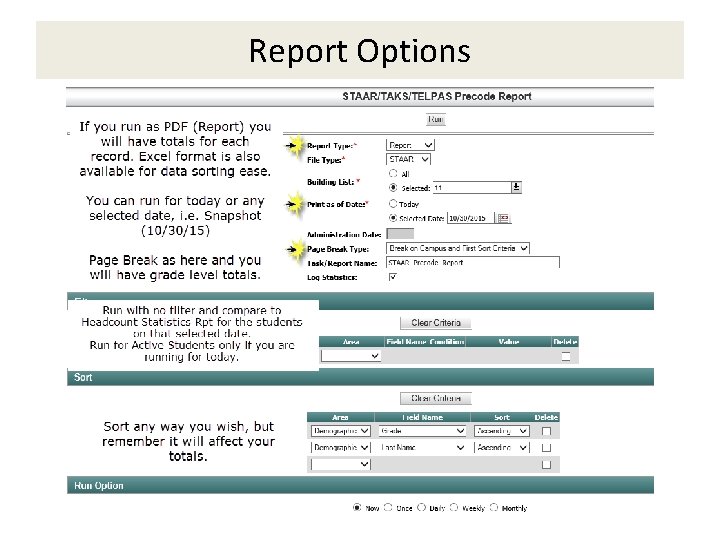 Report Options 