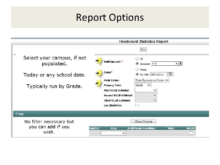 Report Options 