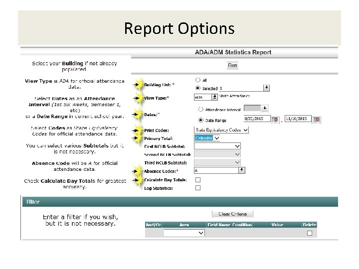 Report Options 