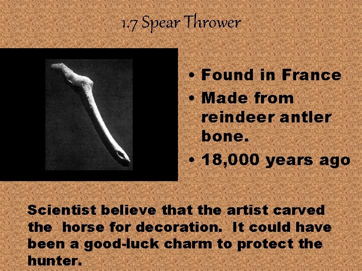 1. 7 Spear Thrower • Found in France • Made from reindeer antler bone.