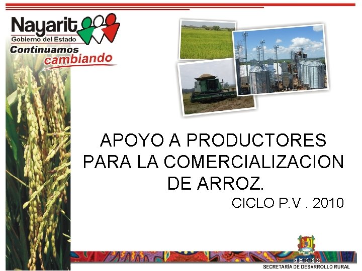 APOYO A PRODUCTORES PARA LA COMERCIALIZACION DE ARROZ. CICLO P. V. 2010 