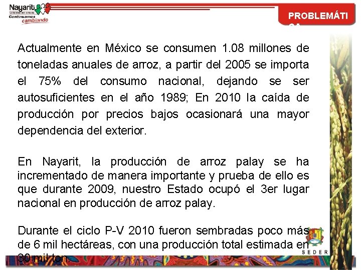 PROBLEMÁTI CA Actualmente en México se consumen 1. 08 millones de toneladas anuales de