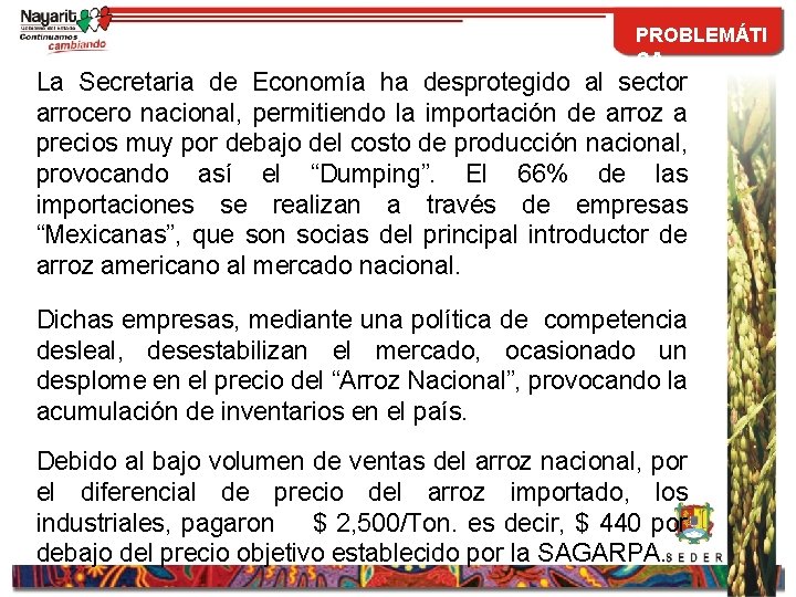 PROBLEMÁTI CA La Secretaria de Economía ha desprotegido al sector arrocero nacional, permitiendo la