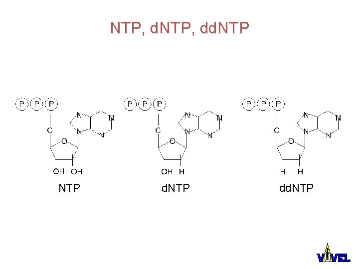 NTP, dd. NTP 