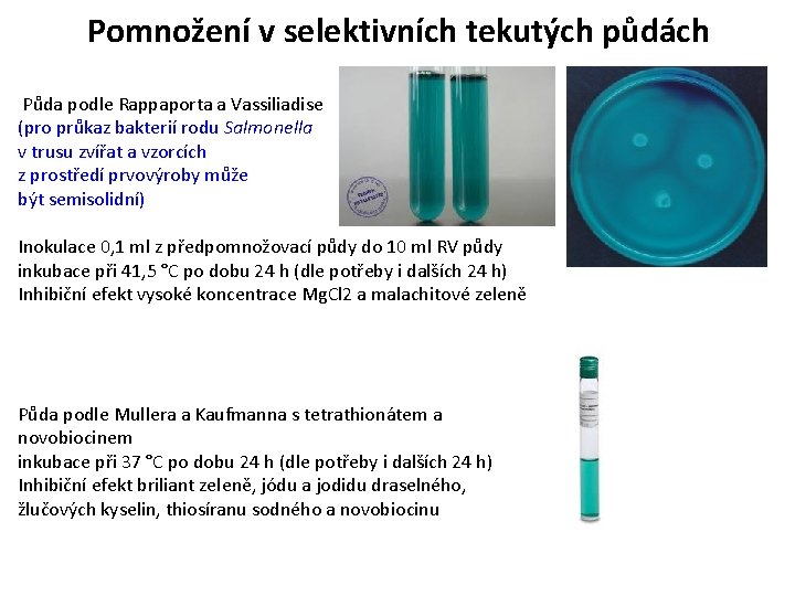 Pomnožení v selektivních tekutých půdách Půda podle Rappaporta a Vassiliadise (pro průkaz bakterií rodu