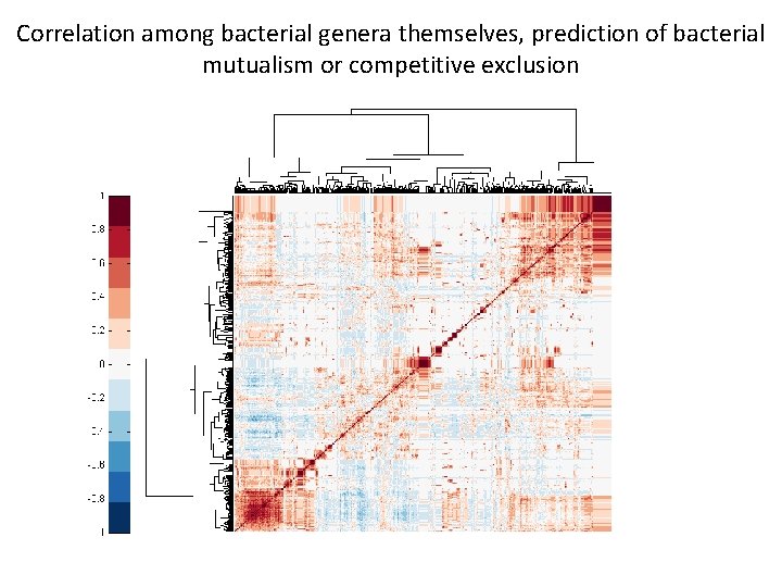 Correlation among bacterial genera themselves, prediction of bacterial mutualism or competitive exclusion 