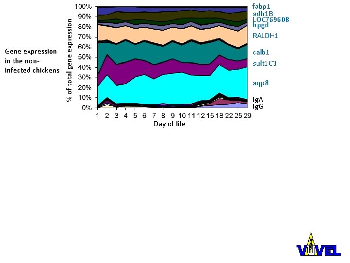 % of total gene expression Gene expression in the noninfected chickens fabp 1 adh