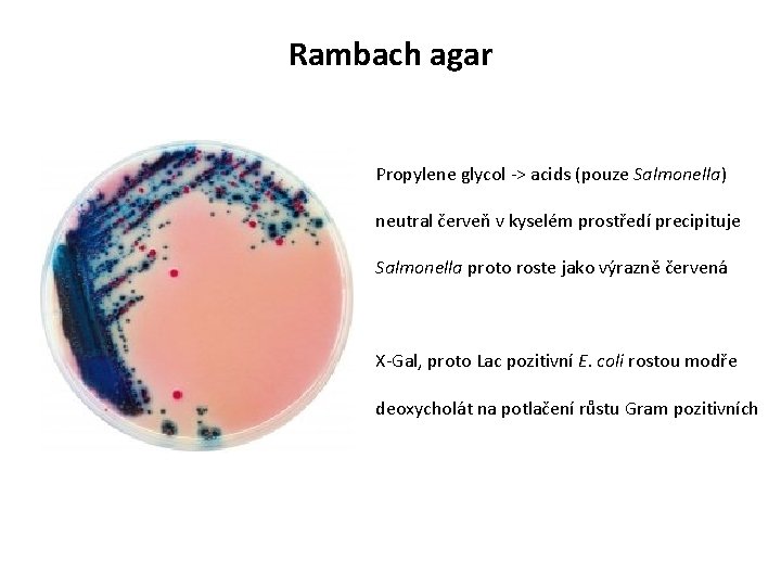 Rambach agar Propylene glycol -> acids (pouze Salmonella) neutral červeň v kyselém prostředí precipituje
