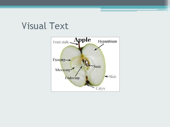 Visual Text Apple 