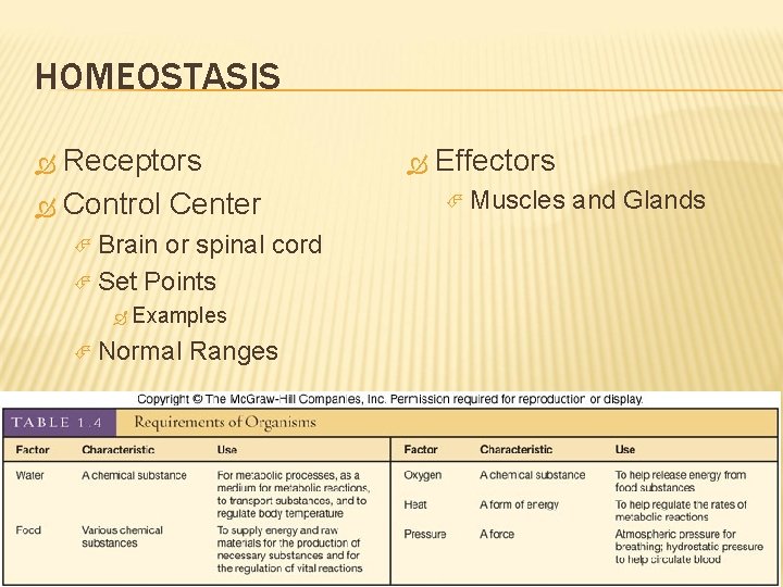 HOMEOSTASIS Receptors Control Center Brain or spinal cord Set Points Examples Normal Ranges Effectors