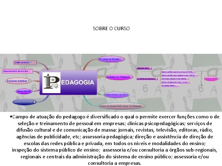 SOBRE O CURSO • Campo de atuação do pedagogo é diversificado o qual o