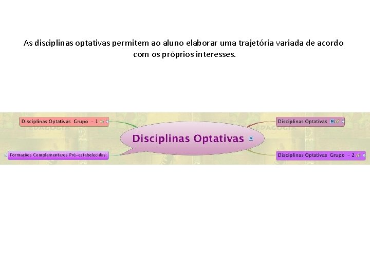 As disciplinas optativas permitem ao aluno elaborar uma trajetória variada de acordo com os