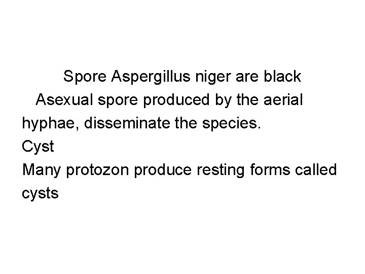 Spore Aspergillus niger are black Asexual spore produced by the aerial hyphae, disseminate the