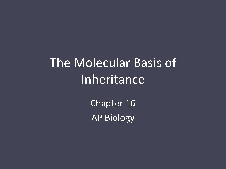 The Molecular Basis of Inheritance Chapter 16 AP Biology 