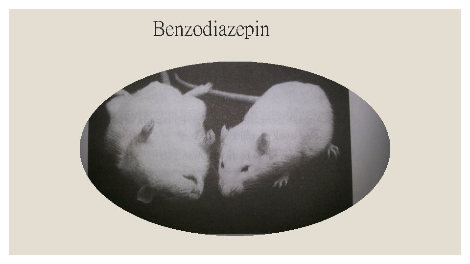 Benzodiazepin 