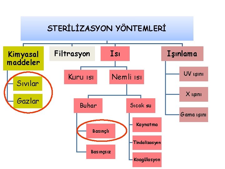 STERİLİZASYON YÖNTEMLERİ Kimyasal maddeler Sıvılar Gazlar Filtrasyon Isı Kuru ısı Işınlama Nemli ısı UV