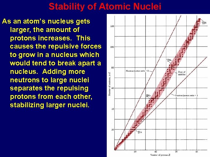 Stability of Atomic Nuclei As an atom’s nucleus gets larger, the amount of protons
