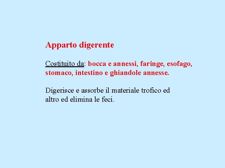 Apparto digerente Costituito da: bocca e annessi, faringe, esofago, stomaco, intestino e ghiandole annesse.