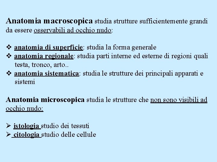 Anatomia macroscopica studia strutture sufficientemente grandi da essere osservabili ad occhio nudo: v anatomia