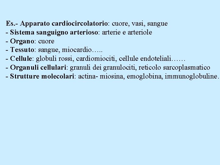 Es. - Apparato cardiocircolatorio: cuore, vasi, sangue - Sistema sanguigno arterioso: arterie e arteriole