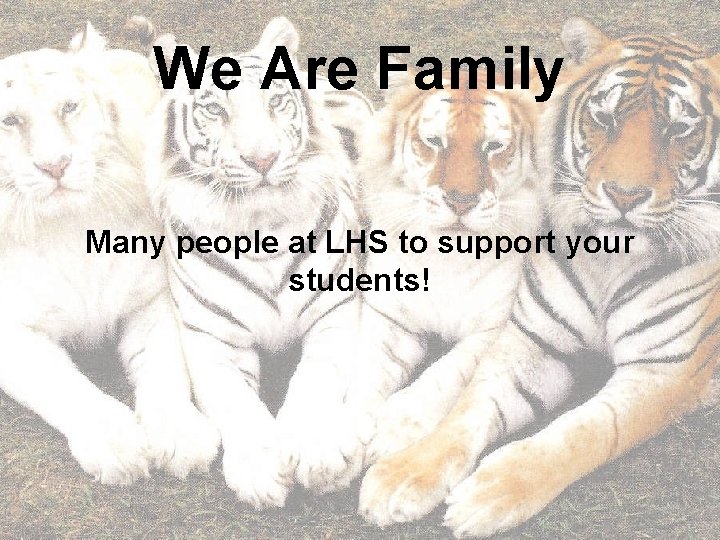 We Are Family Many people at LHS to support your students! 