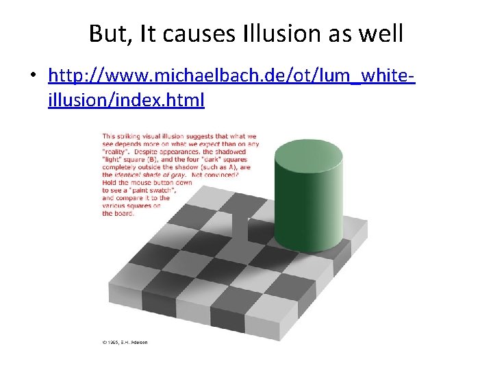 But, It causes Illusion as well • http: //www. michaelbach. de/ot/lum_whiteillusion/index. html 