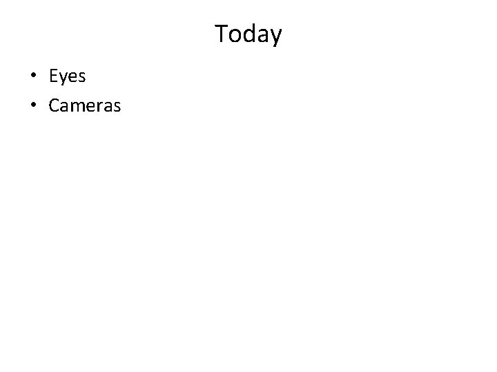 Today • Eyes • Cameras 