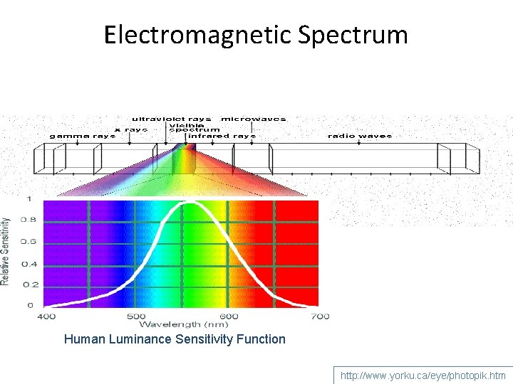 Electromagnetic Spectrum Human Luminance Sensitivity Function http: //www. yorku. ca/eye/photopik. htm 