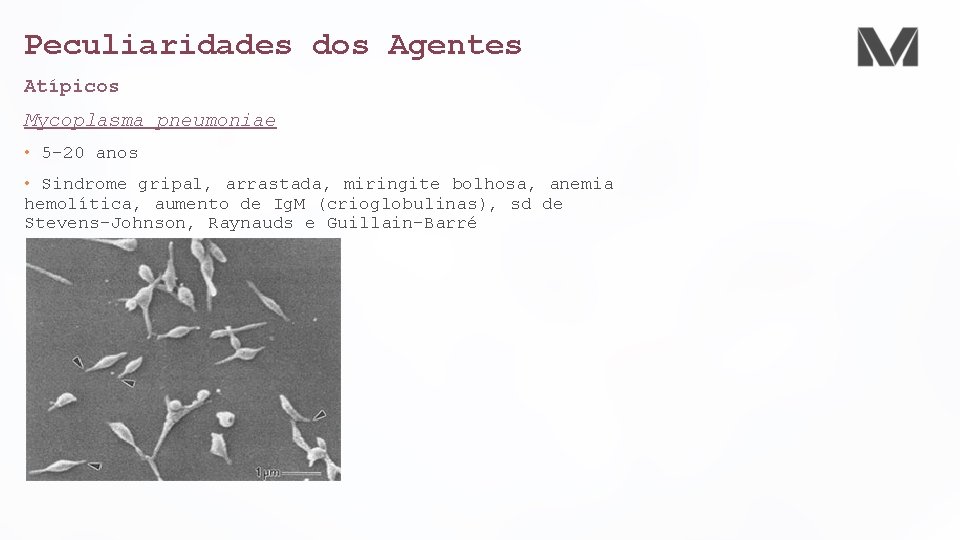 Peculiaridades dos Agentes Atípicos Mycoplasma pneumoniae • 5 -20 anos • Sindrome gripal, arrastada,